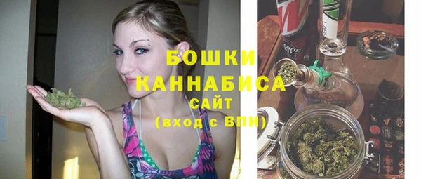 apvp Каменка