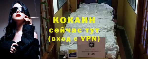 apvp Каменка