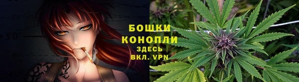 apvp Каменка