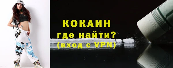 apvp Каменка