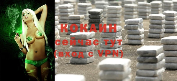 apvp Каменка