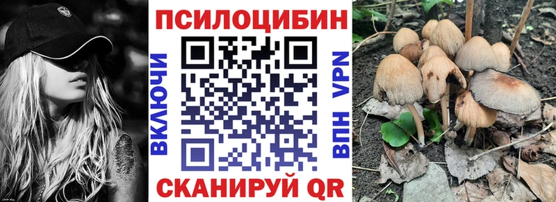 Галлюциногенные грибы Psilocybine cubensis  Купить  Салехард 